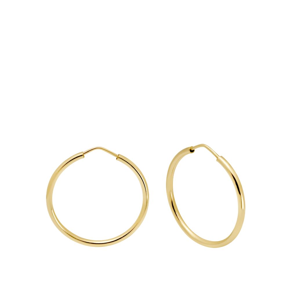 14K Gold Hoop Earrings 25mm