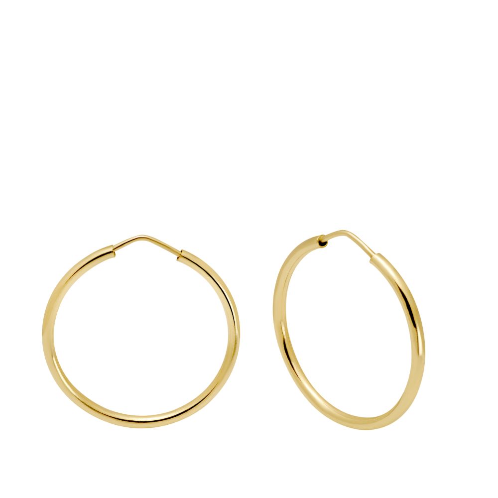 14K Gold Hoop Earrings 30mm
