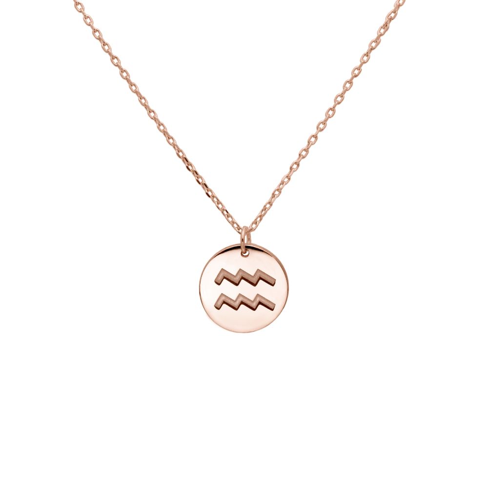 Zodiac Necklace 14K Gold