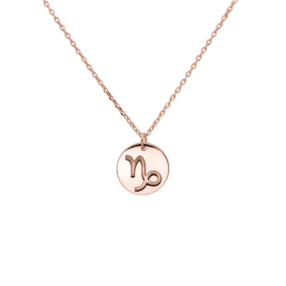 Zodiac Necklace 14K Gold